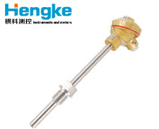 WZPB WRNB系列 一體式溫度變送器 熱電阻熱電偶 專業(yè)定制 4-20mA 就地顯示 PT100 K等多種分度號(hào)